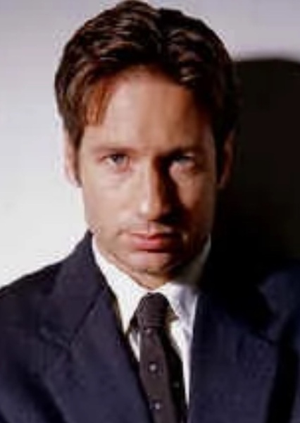 David Duchovny photo