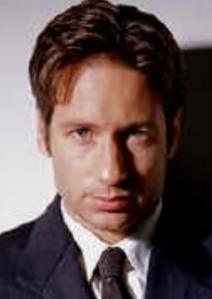 David Duchovny photo