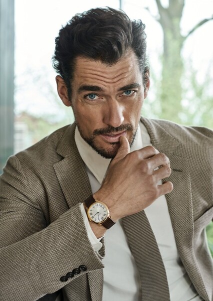 David Gandy photo