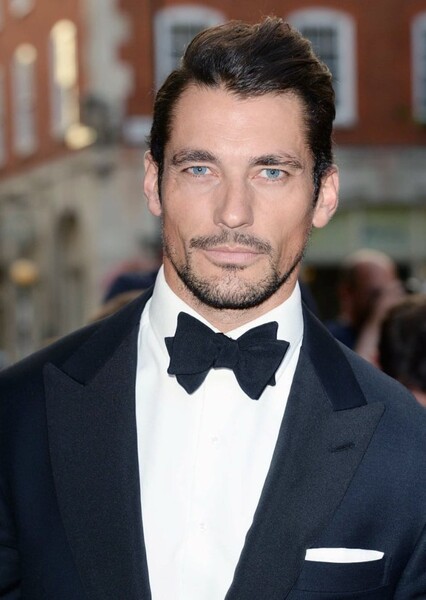 David Gandy photo
