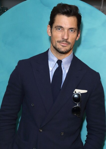 David Gandy photo