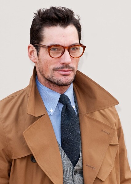David Gandy photo