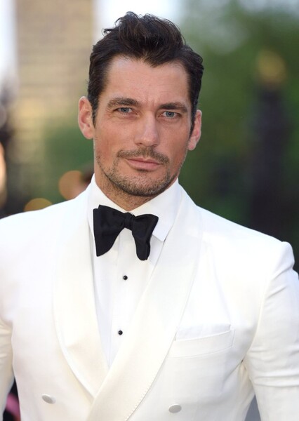 David Gandy photo