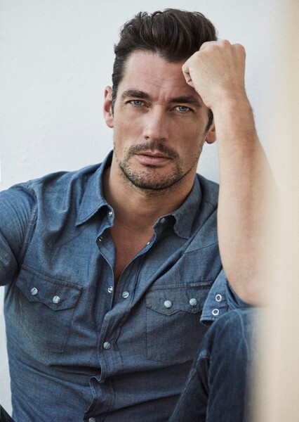 David Gandy photo