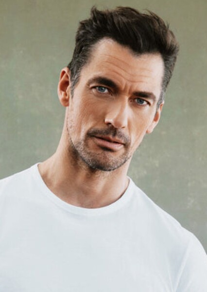 David Gandy photo