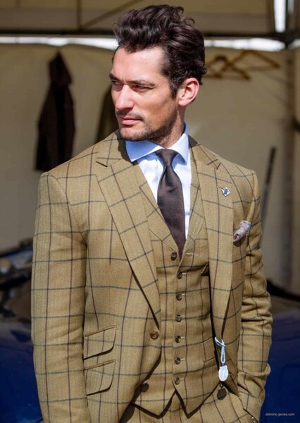 David Gandy photo