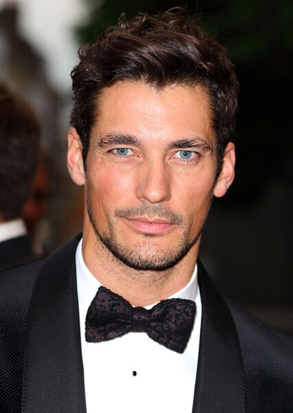 David Gandy photo