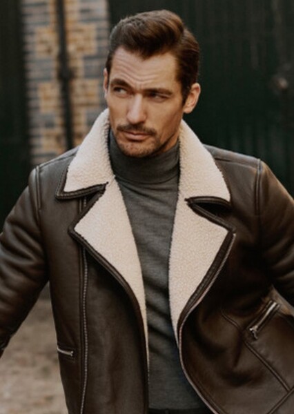 David Gandy photo
