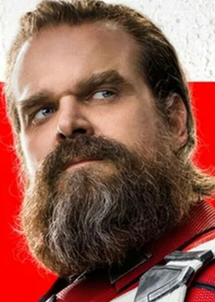David Harbour photo