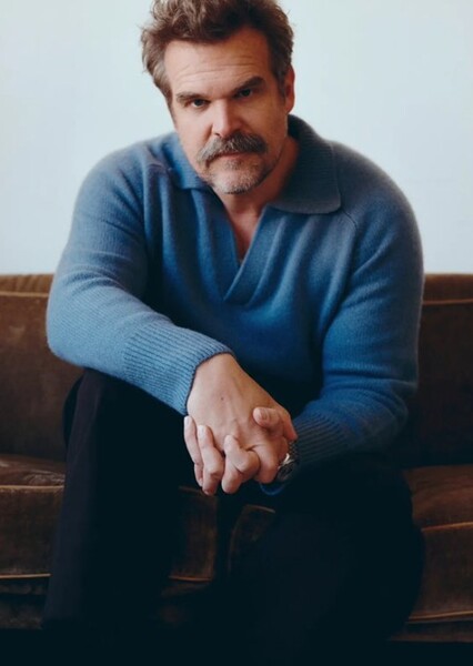 David Harbour photo