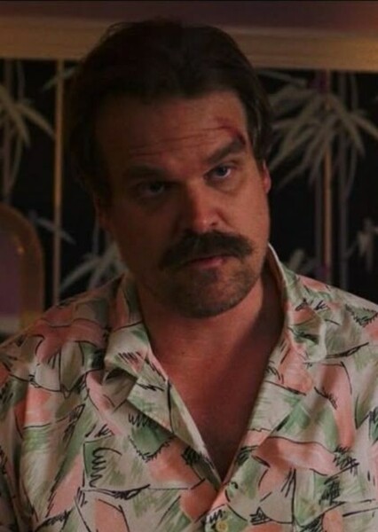 Chief Jim Hopper ❌?