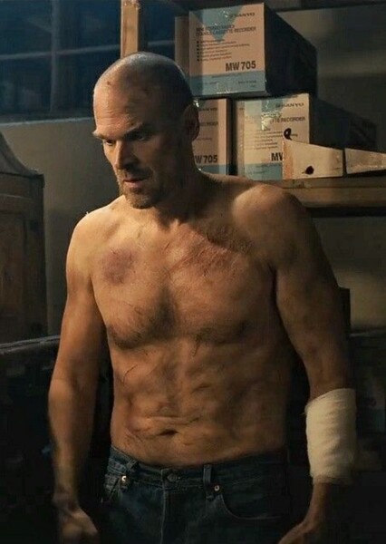 David Harbour photo