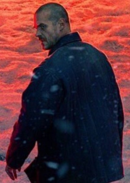 David Harbour photo