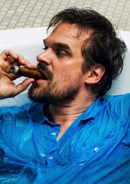 David Harbour photo