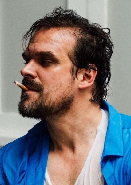 David Harbour photo