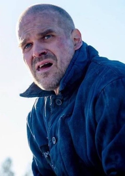 David Harbour photo