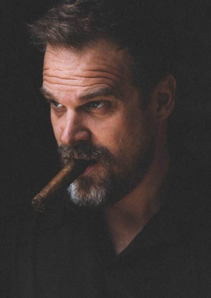 David Harbour photo