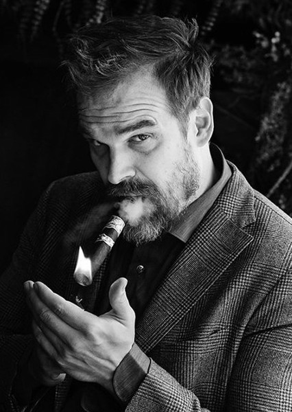 David Harbour photo