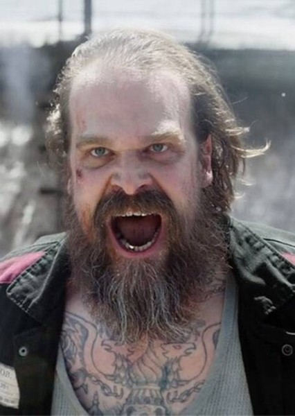David Harbour photo