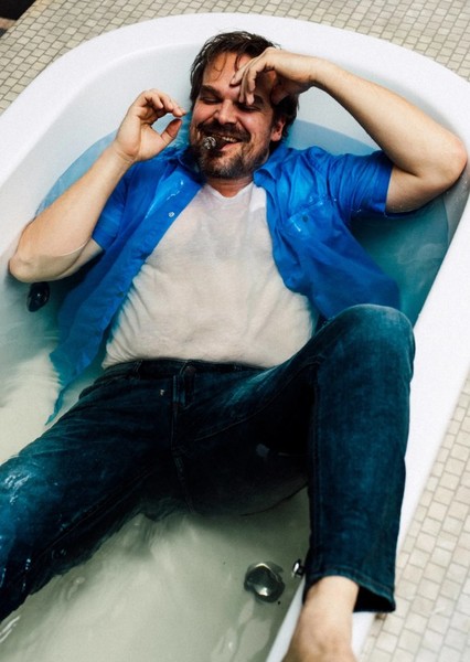 David Harbour photo