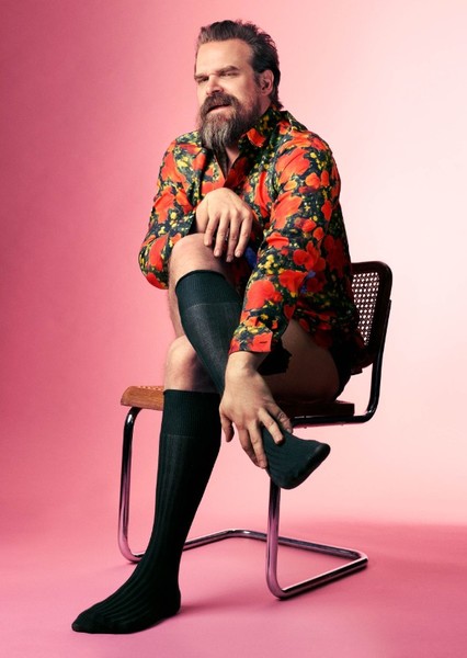 David Harbour photo