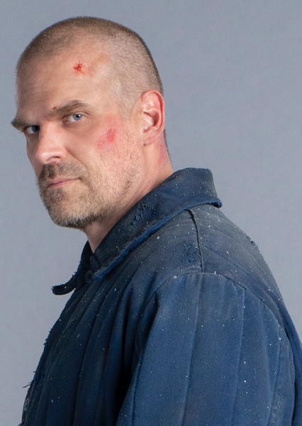 David Harbour photo