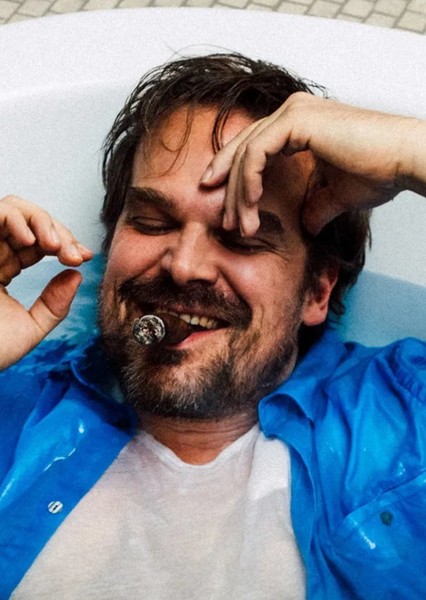 David Harbour photo