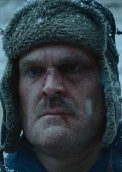 David Harbour photo