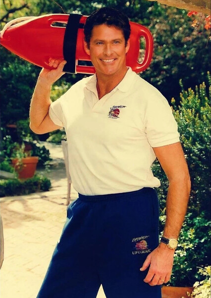 David Hasselhoff photo