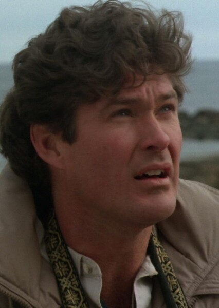 David Hasselhoff photo