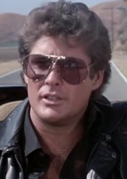 David Hasselhoff photo