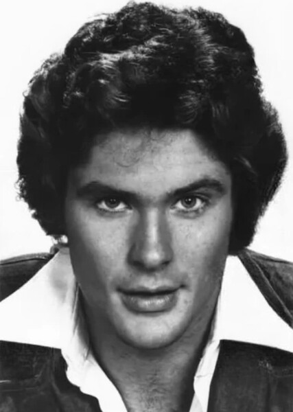 David Hasselhoff photo