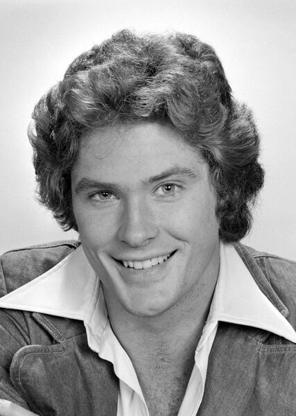 David Hasselhoff photo