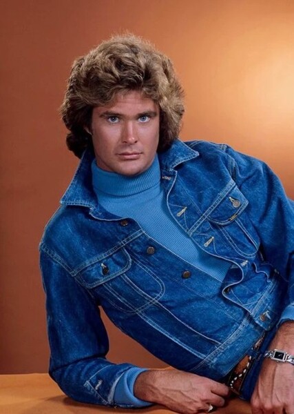 David Hasselhoff photo