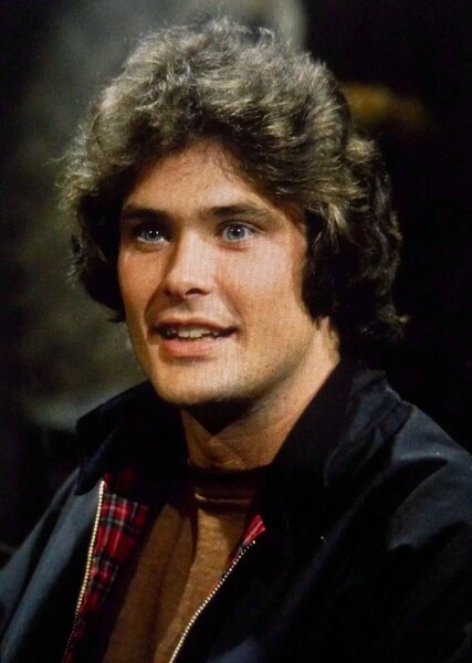 David Hasselhoff photo