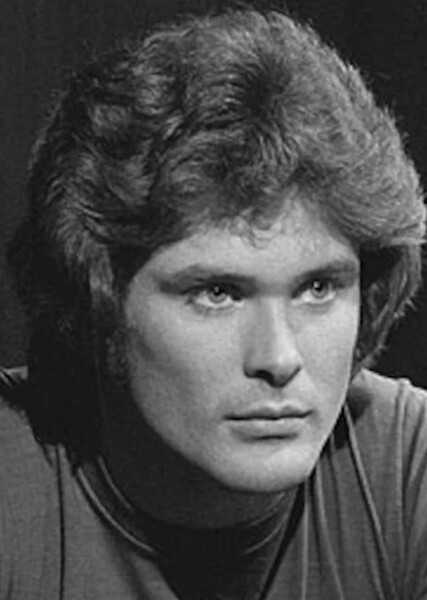 David Hasselhoff photo
