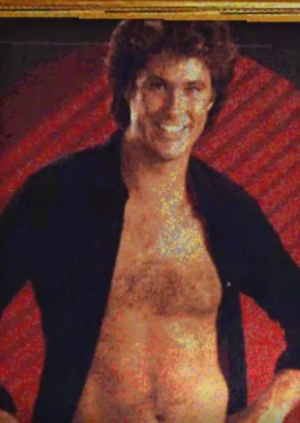 David Hasselhoff photo