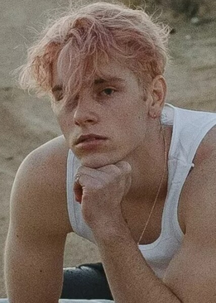 ​david hugø