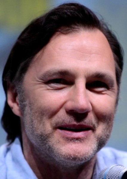David Morrissey photo