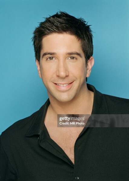 David Schwimmer photo