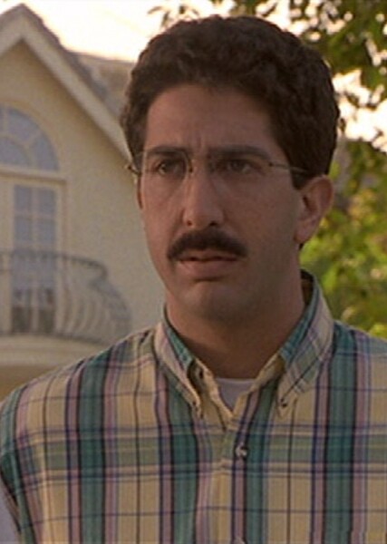 David Schwimmer photo