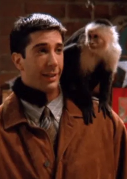 David Schwimmer photo