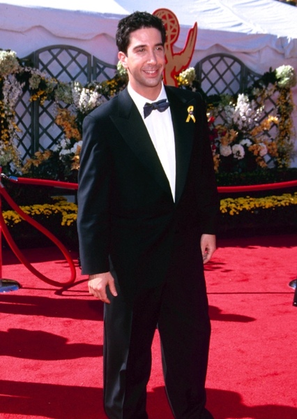 David Schwimmer photo
