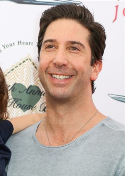 David Schwimmer photo