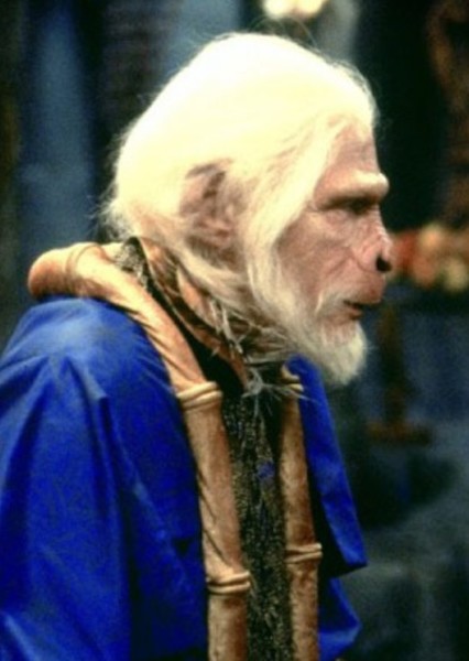 David Warner photo