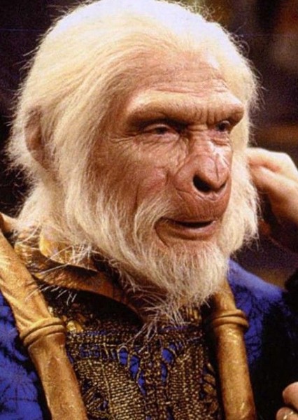 David Warner photo