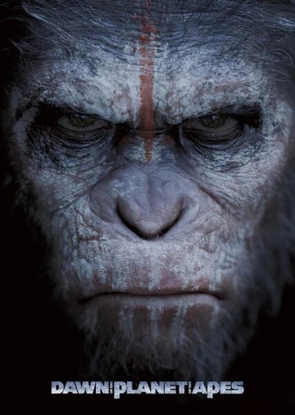 Dawn of the Planet of the Apes (2014) Film