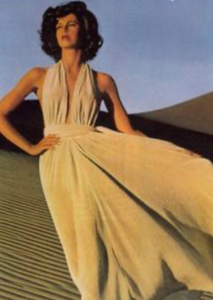Dayle Haddon photo