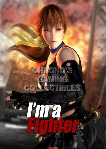 Dead or Alive 5 photo