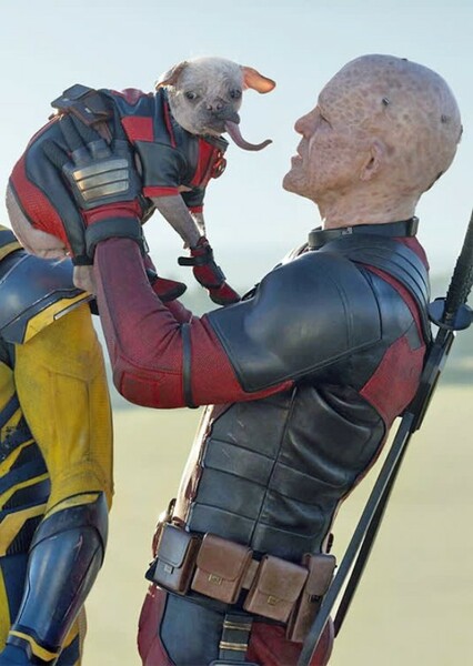 Deadpool (Marvel Cinematic Universe) photo